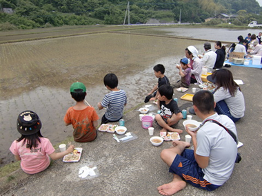 田植え後